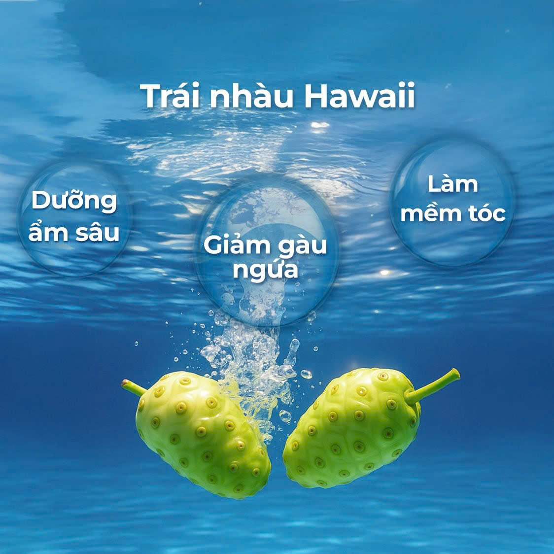 Dầu Gội Natufres_thumbnail_6