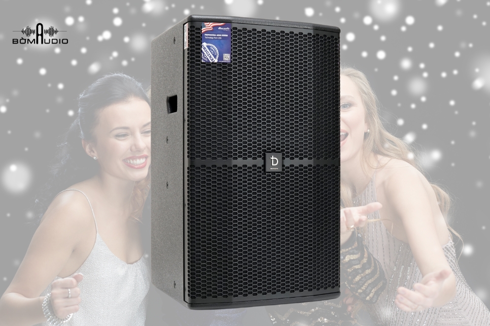 Thiết kế loa DBacoustic KS312