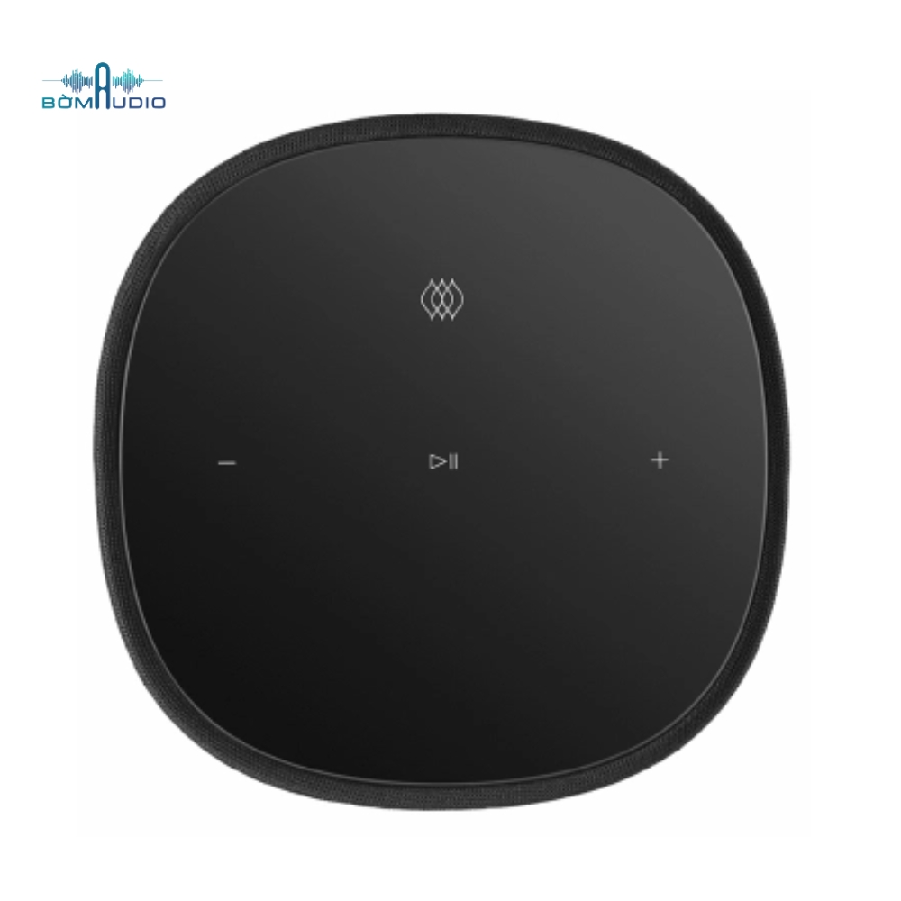 Loa Bluetooth Cao Cấp B&W FORMATION FLEX_thumbnail_2