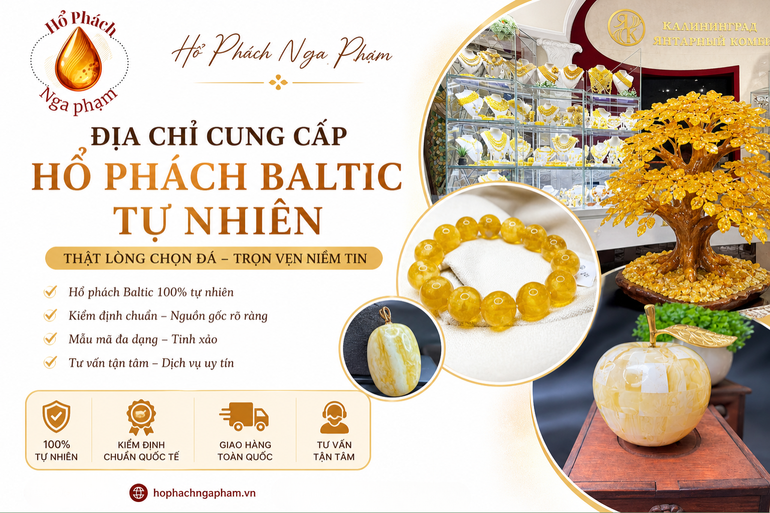 Hổ Phách Nga Phạm – Địa Chỉ Cung Cấp Hổ Phách Baltic Tự Nhiên