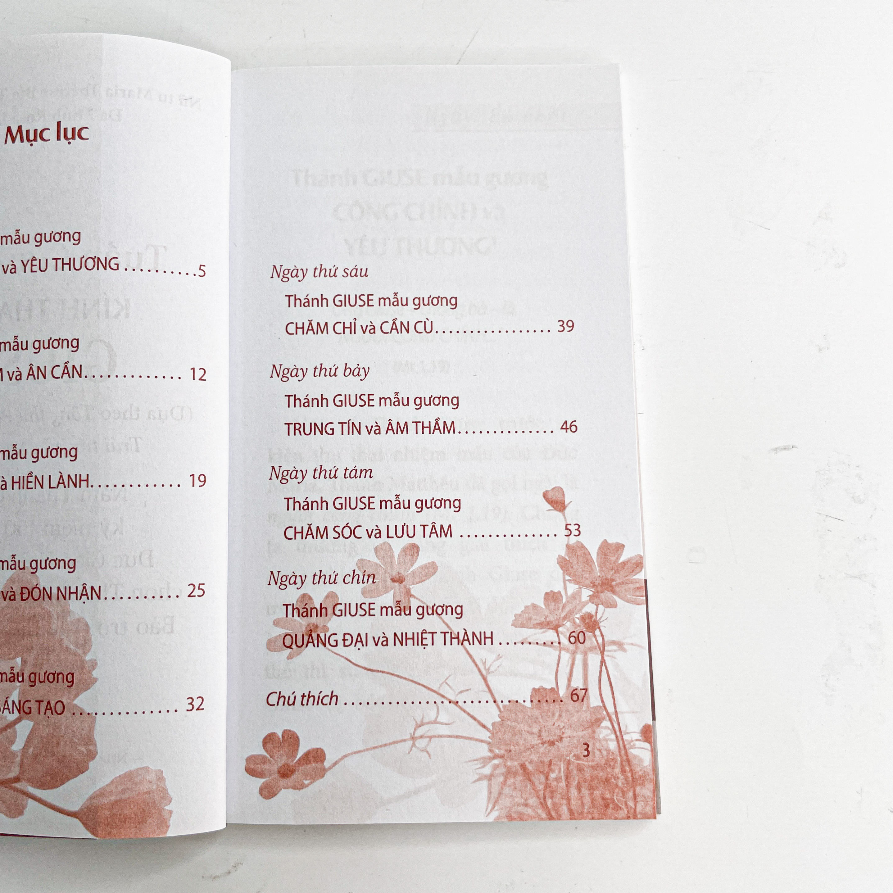 Tuần cửu nhật kính Thánh Giuse_thumbnail_2