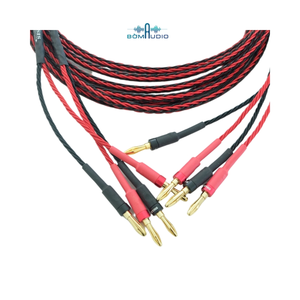 Dây Loa Bắp Chuối PHYSIS CLASSIC 2.5M_thumbnail_5