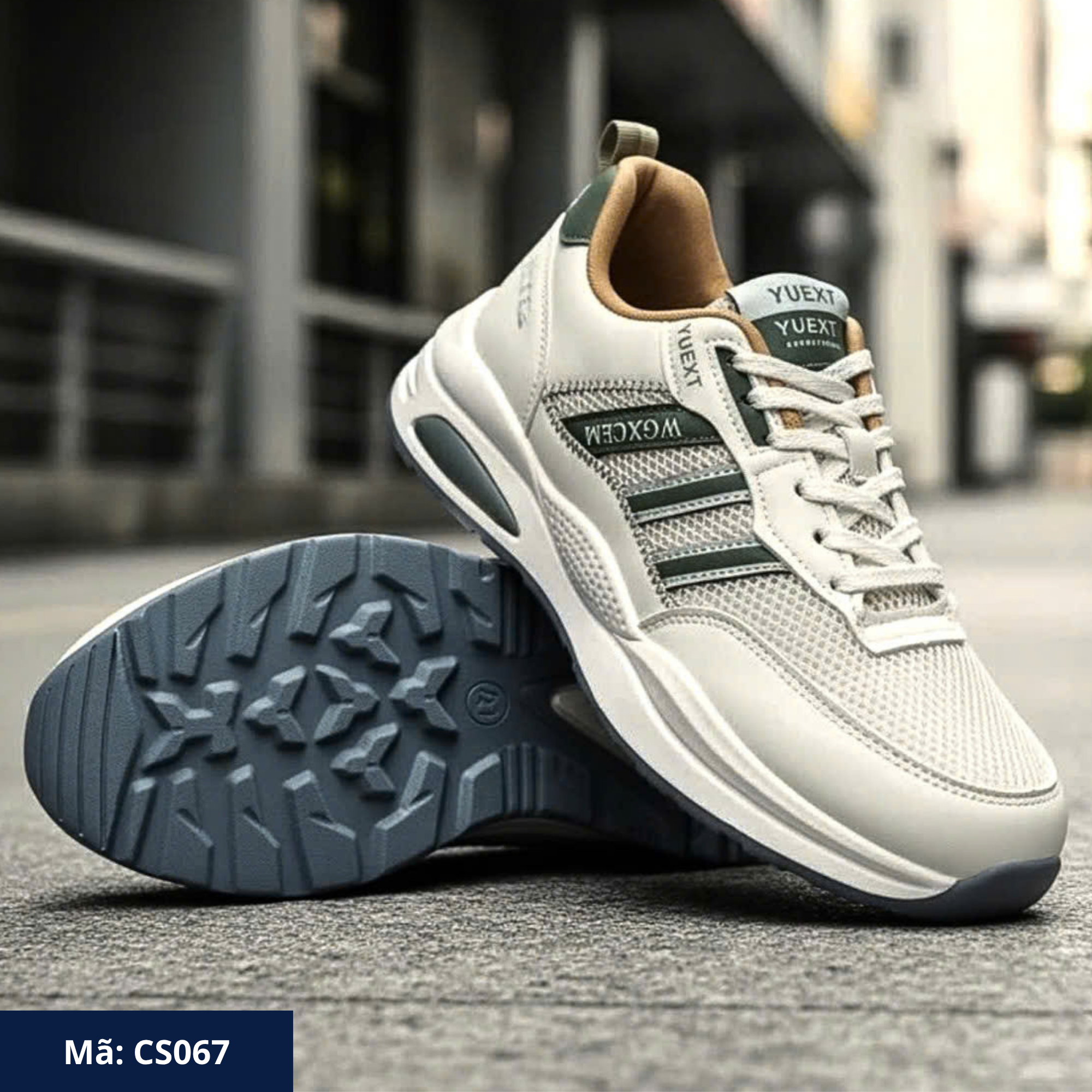 Sneaker thể thao CS067