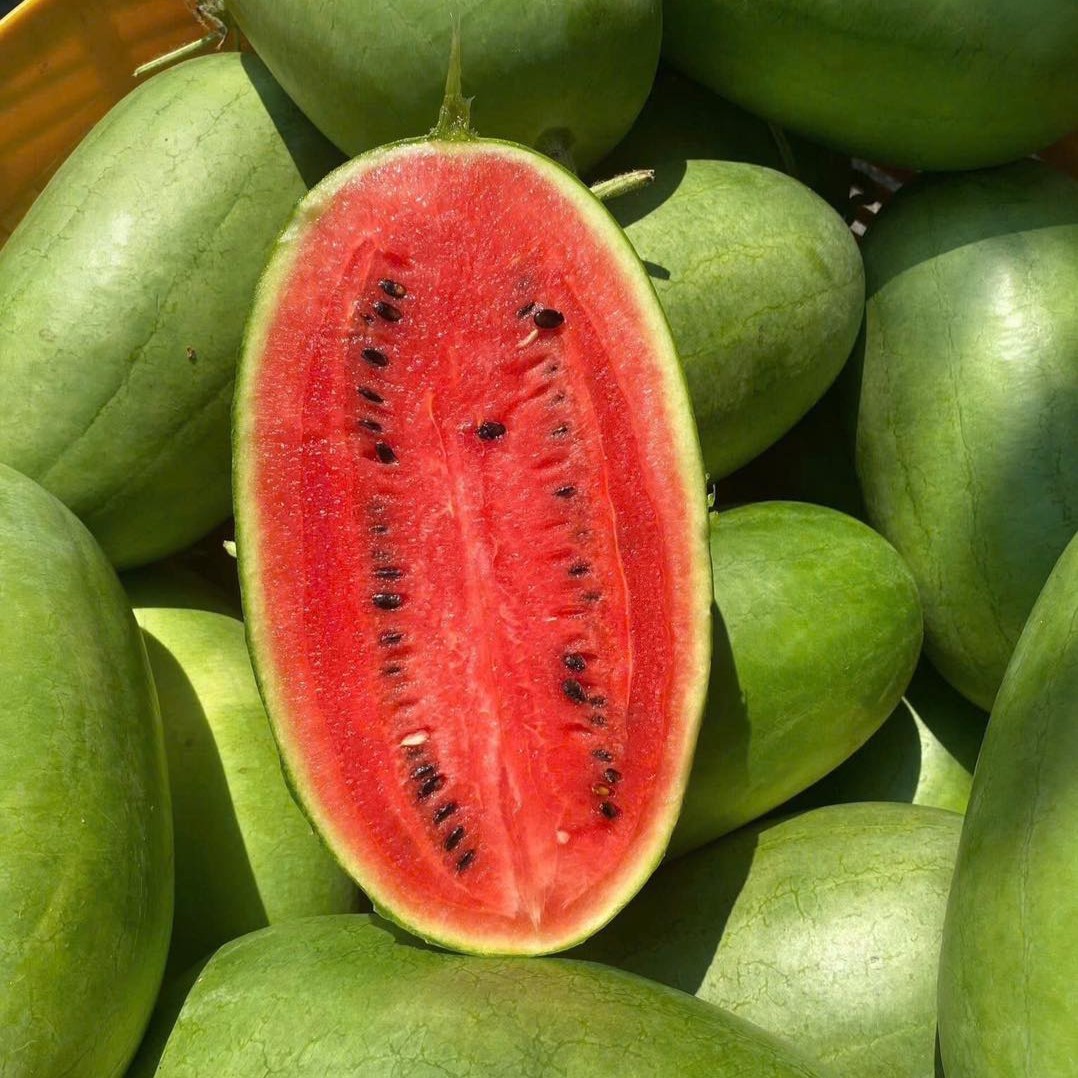 Dưa Hấu Đường_thumbnail_2