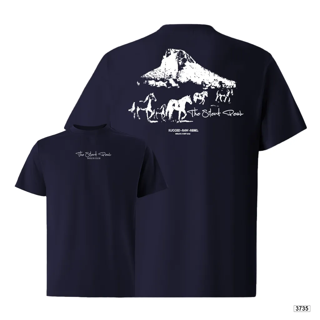 Áo thun nam oversize dày dặn đứng form streetwear style Polux 3735_thumbnail_14