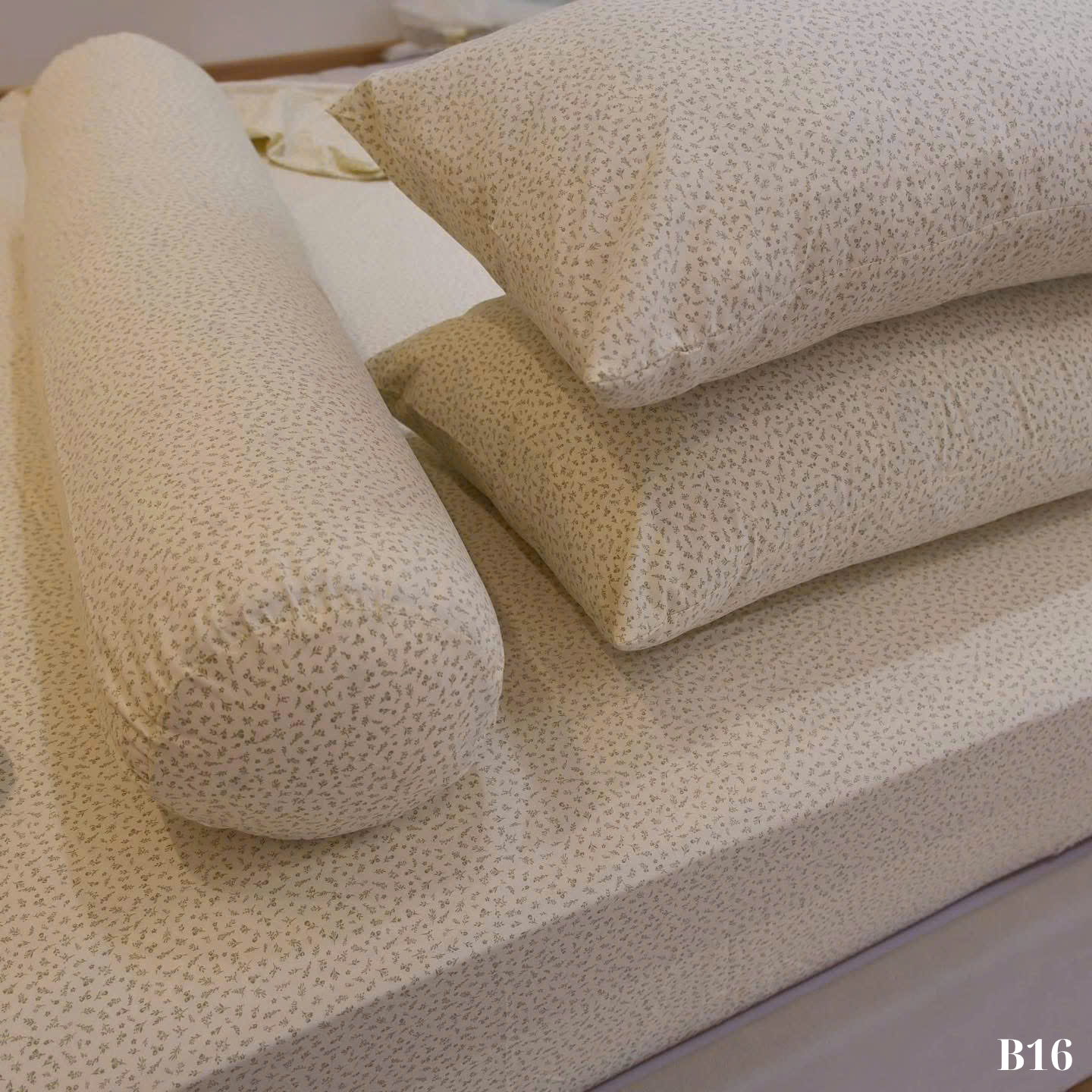 B16 BO GA_thumbnail_5