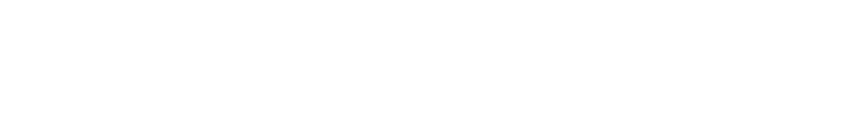 SOIZ-LOGO-WHITE2