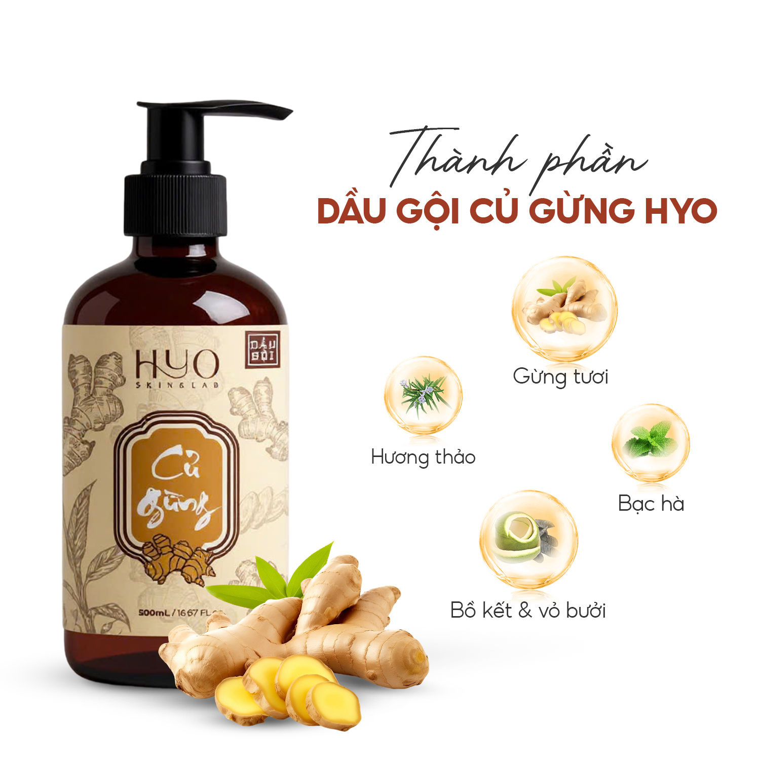 [A86] DẦU GỘI GỪNG 500ML - HYO SKIN & LAB_thumbnail_4
