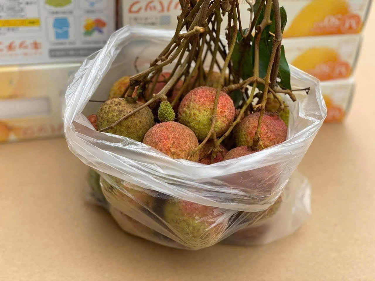 COMBO 2 HỘP 50 TÚI NYLON BẢO QUẢN THỰC PHẨM_thumbnail_1