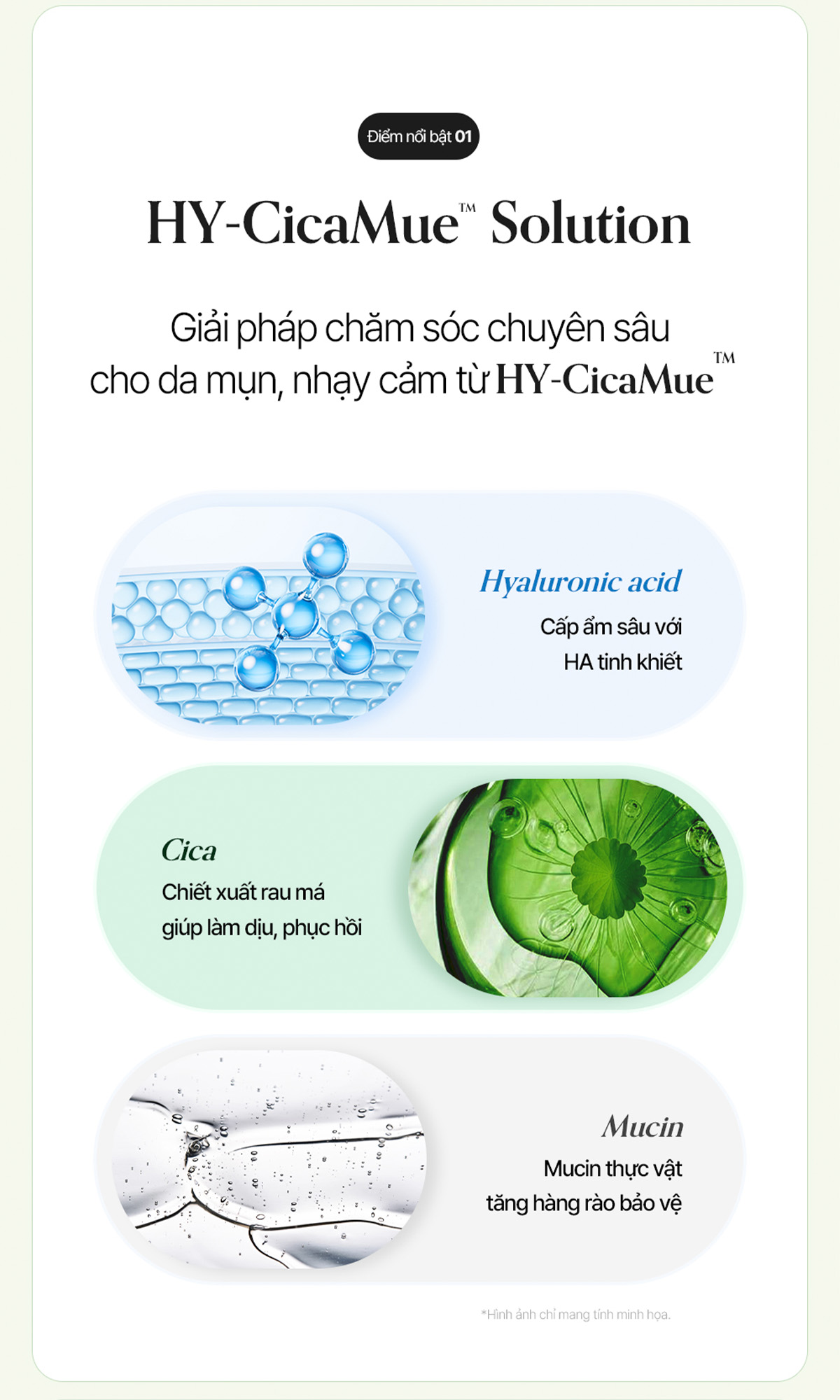 Nước tẩy trang Elravie Hycicamue Cleansing Water_thumbnail_4
