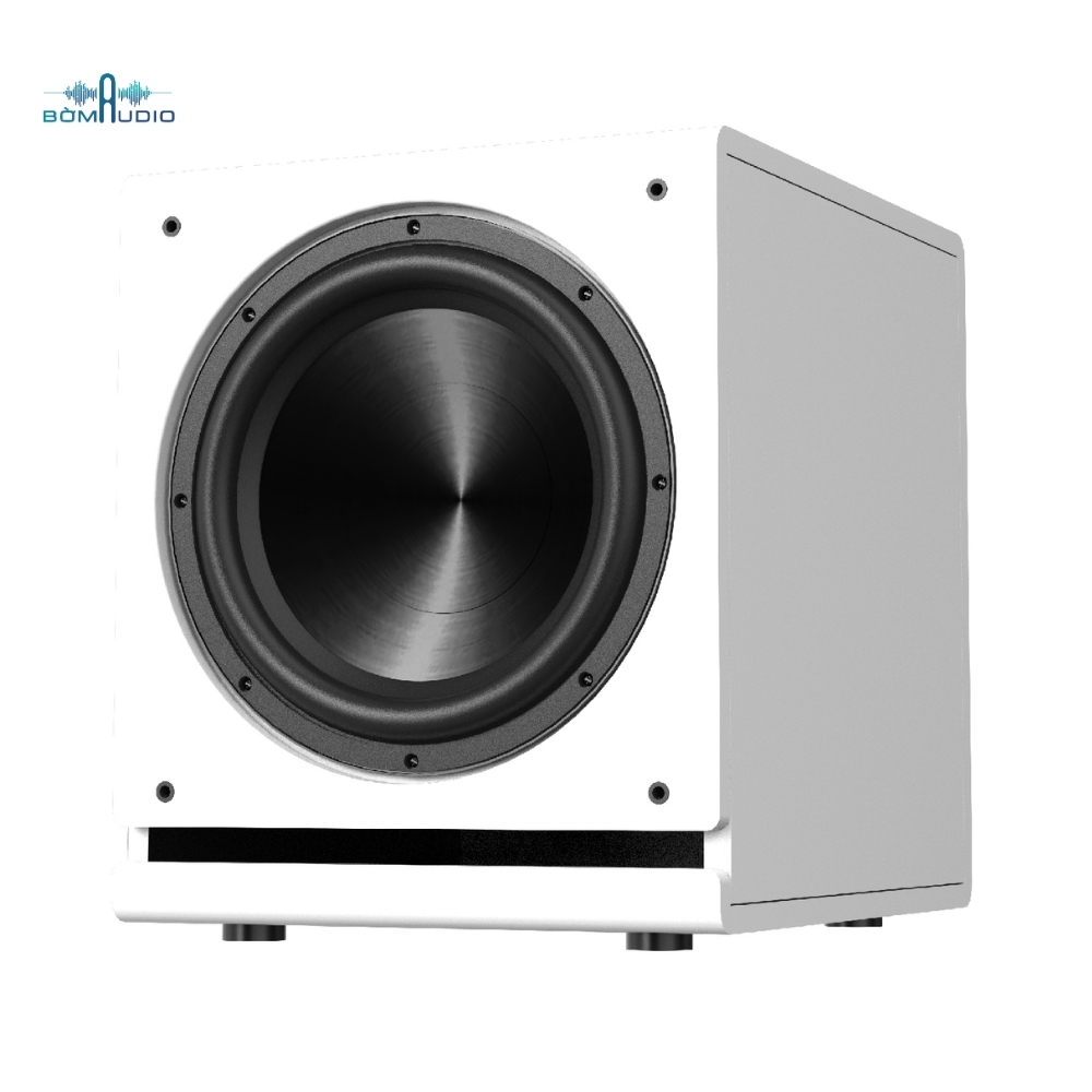Loa Subwoofer PARAMAX SUB-D30 SOECIAL EDITION_thumbnail_1