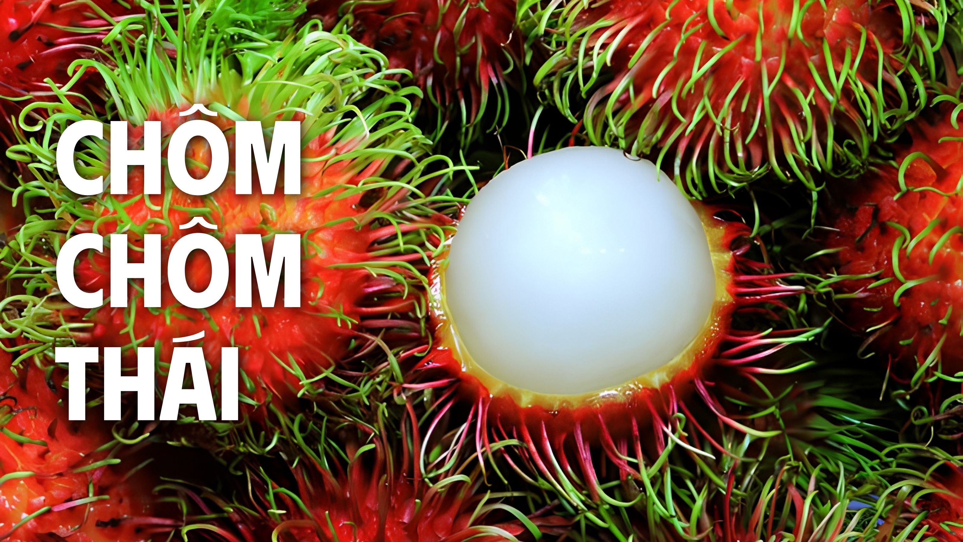 hướng dẫn chọn và bảo quản chôm chôm thái