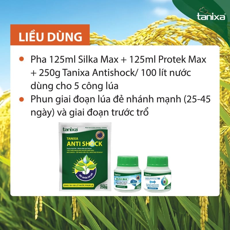 Bộ chuyên lùn lúa - đẻ nhánh Tanixa_thumbnail_2