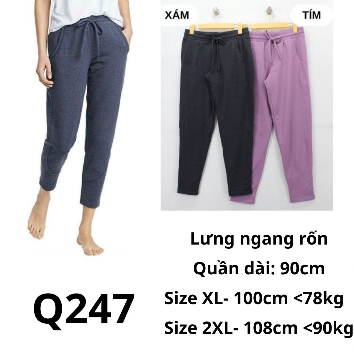 Q247- Quần Jogger