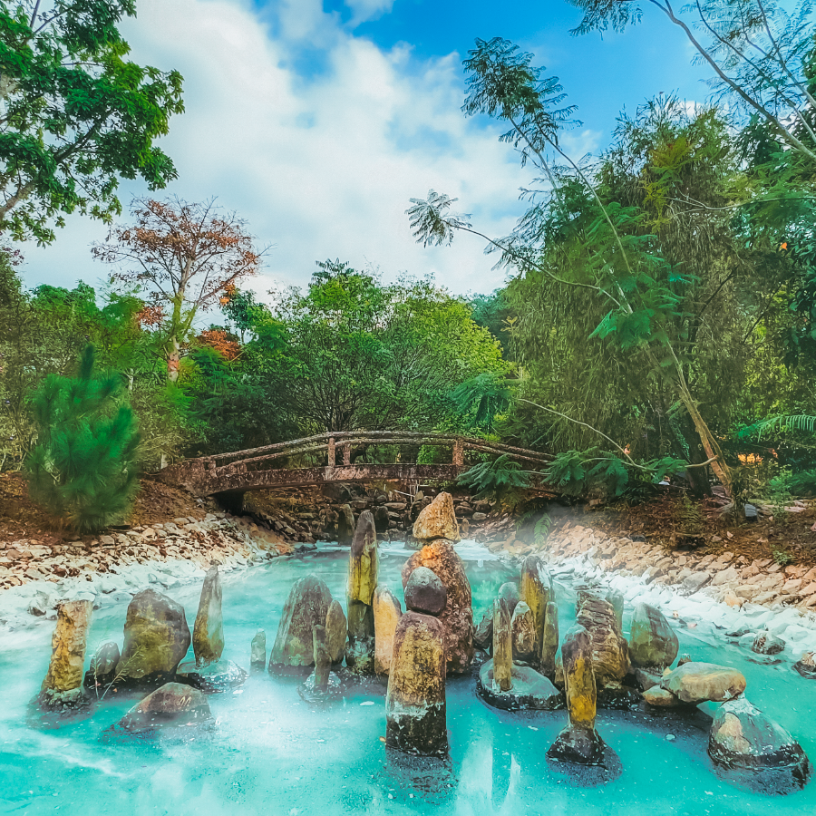 GALLERY - VƯỜN THIỀN-08