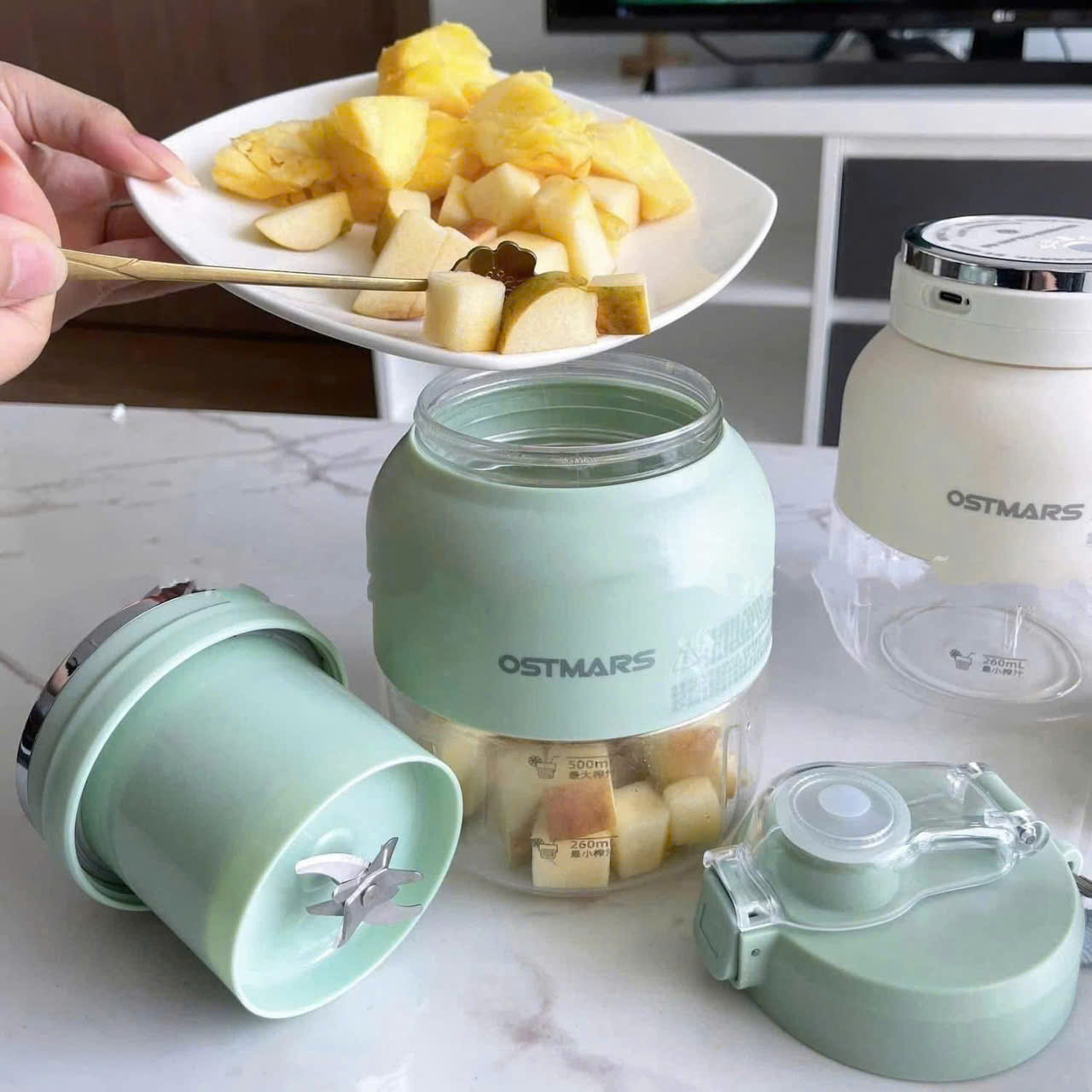 Máy xay sinh tố Ostmar - 500ml