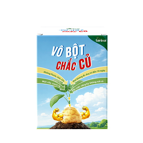 Bộ vô bột- chắc củ Tanixa (nhỏ)