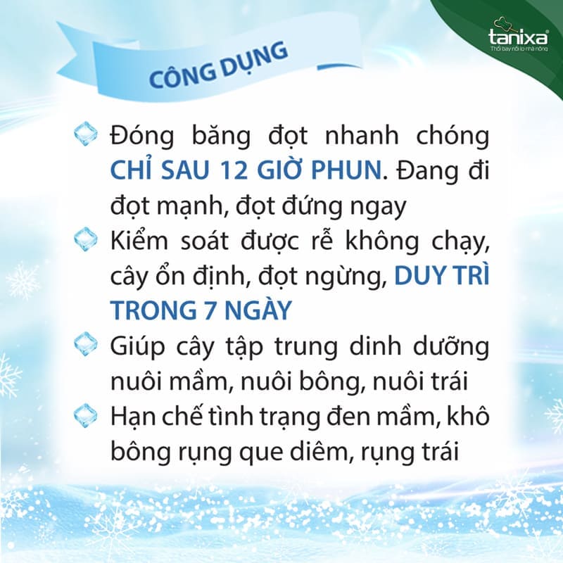Bộ đóng băng đọt_thumbnail_4