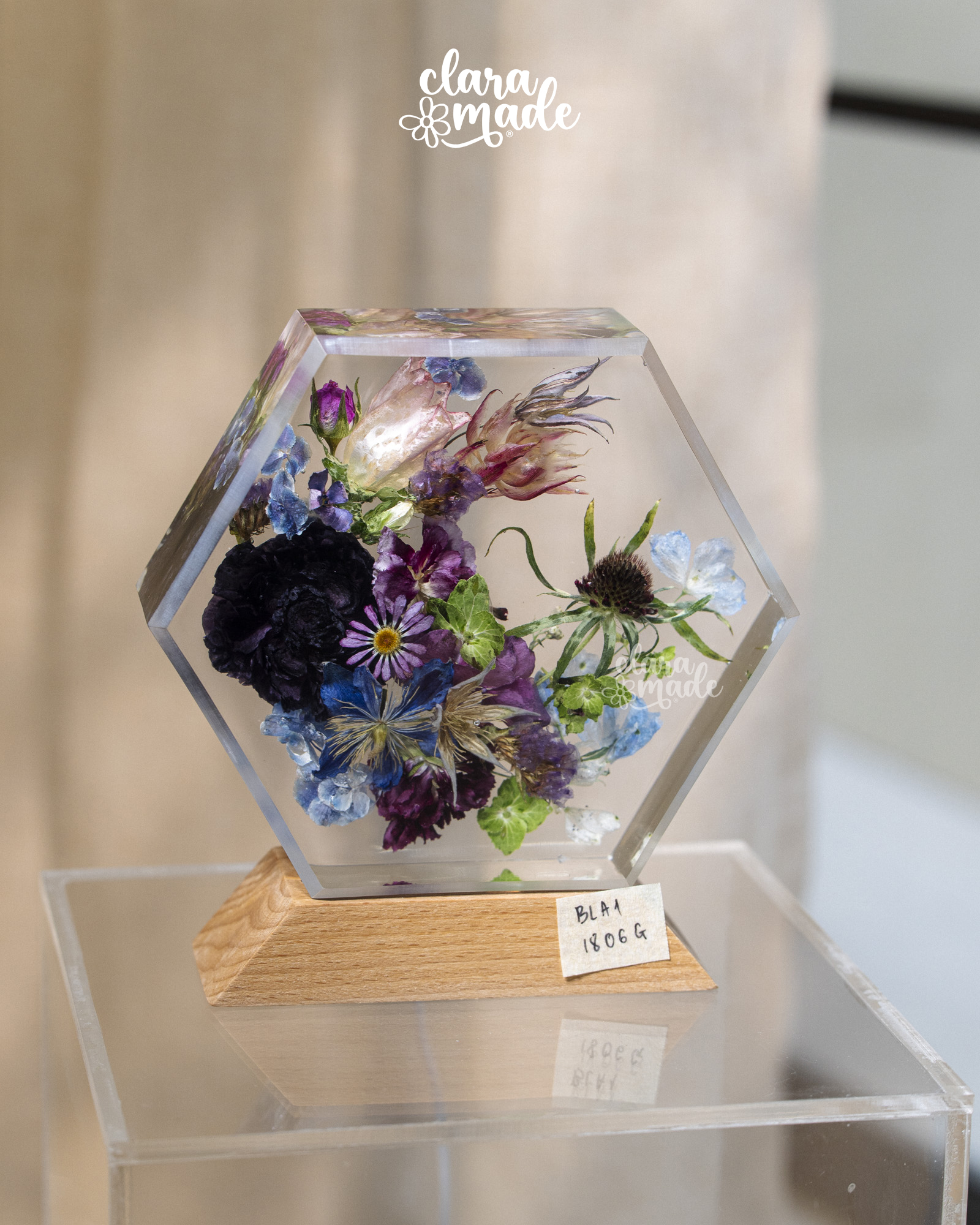 Đèn hoa khô Bloomlight Garden_thumbnail_5