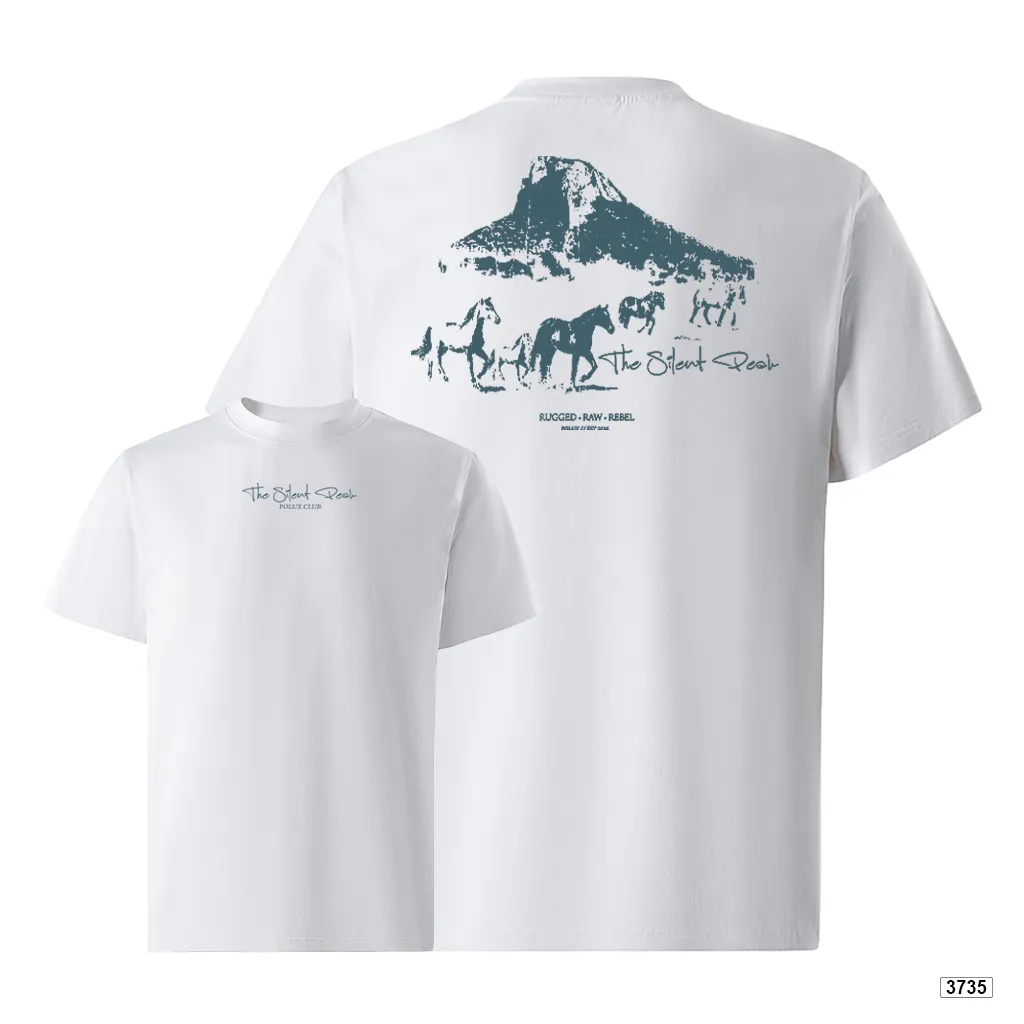 Áo thun nam oversize dày dặn đứng form streetwear style Polux 3735_thumbnail_9