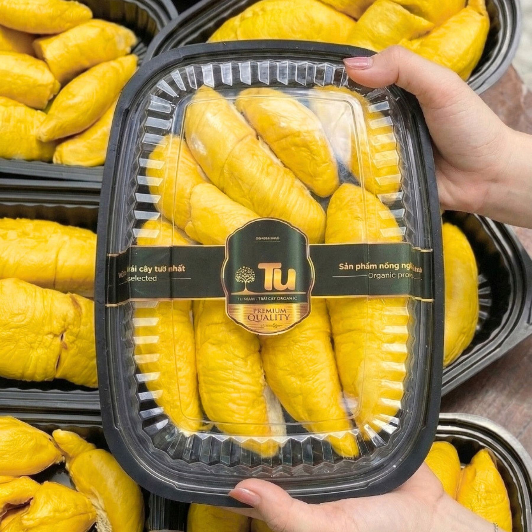 Trái - Sầu riêng Musang King - Khui sầu_thumbnail_5