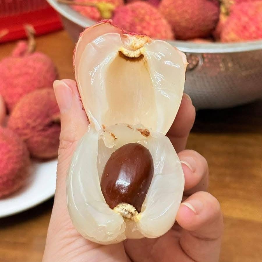 Vải Trứng Phù Cừ Hưng Yên_thumbnail_1