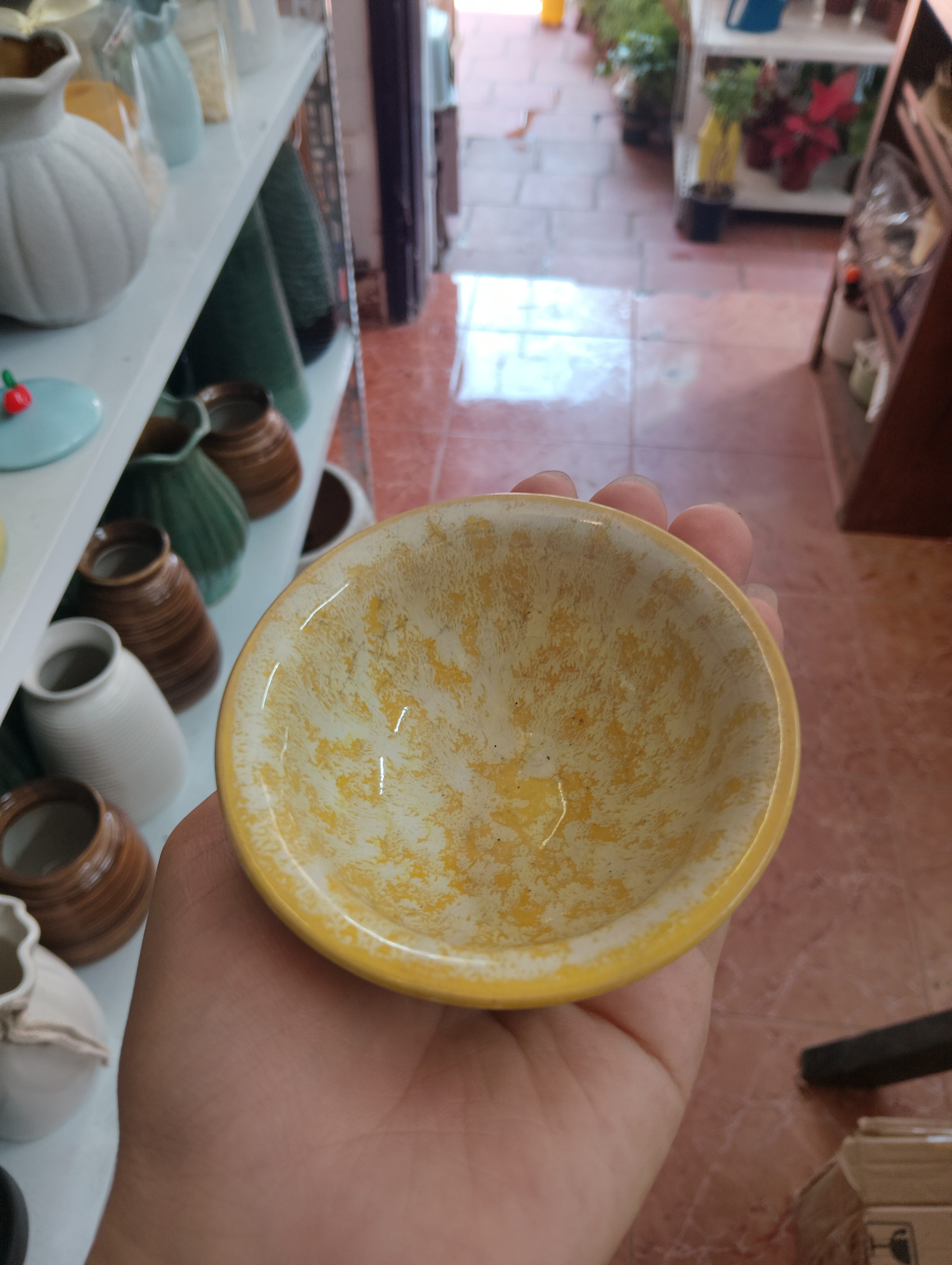 CHẬU CHÉN_thumbnail_1