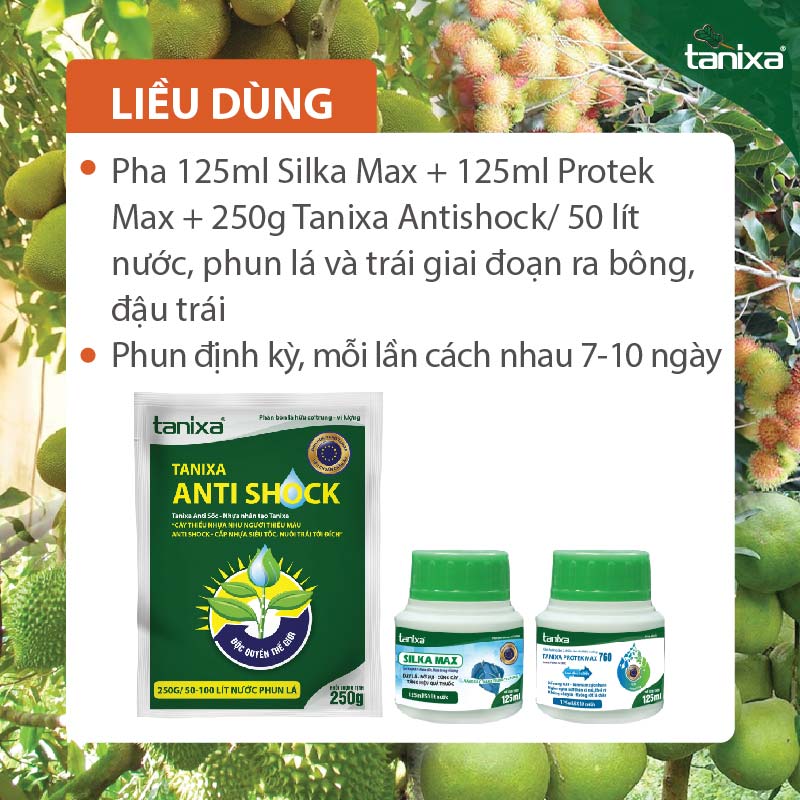Bộ đậu trái Tanixa (nhỏ)_thumbnail_2