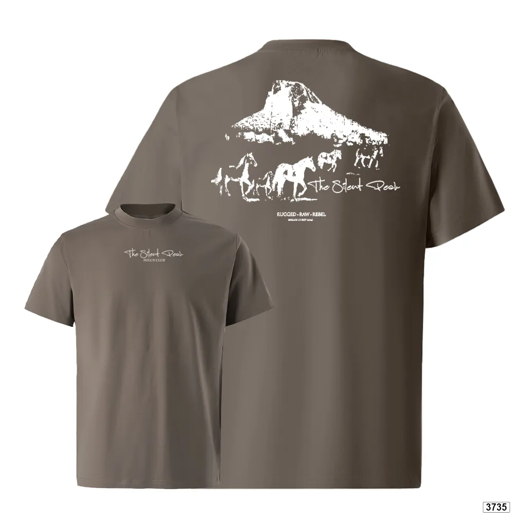 Áo thun nam oversize dày dặn đứng form streetwear style Polux 3735_thumbnail_16