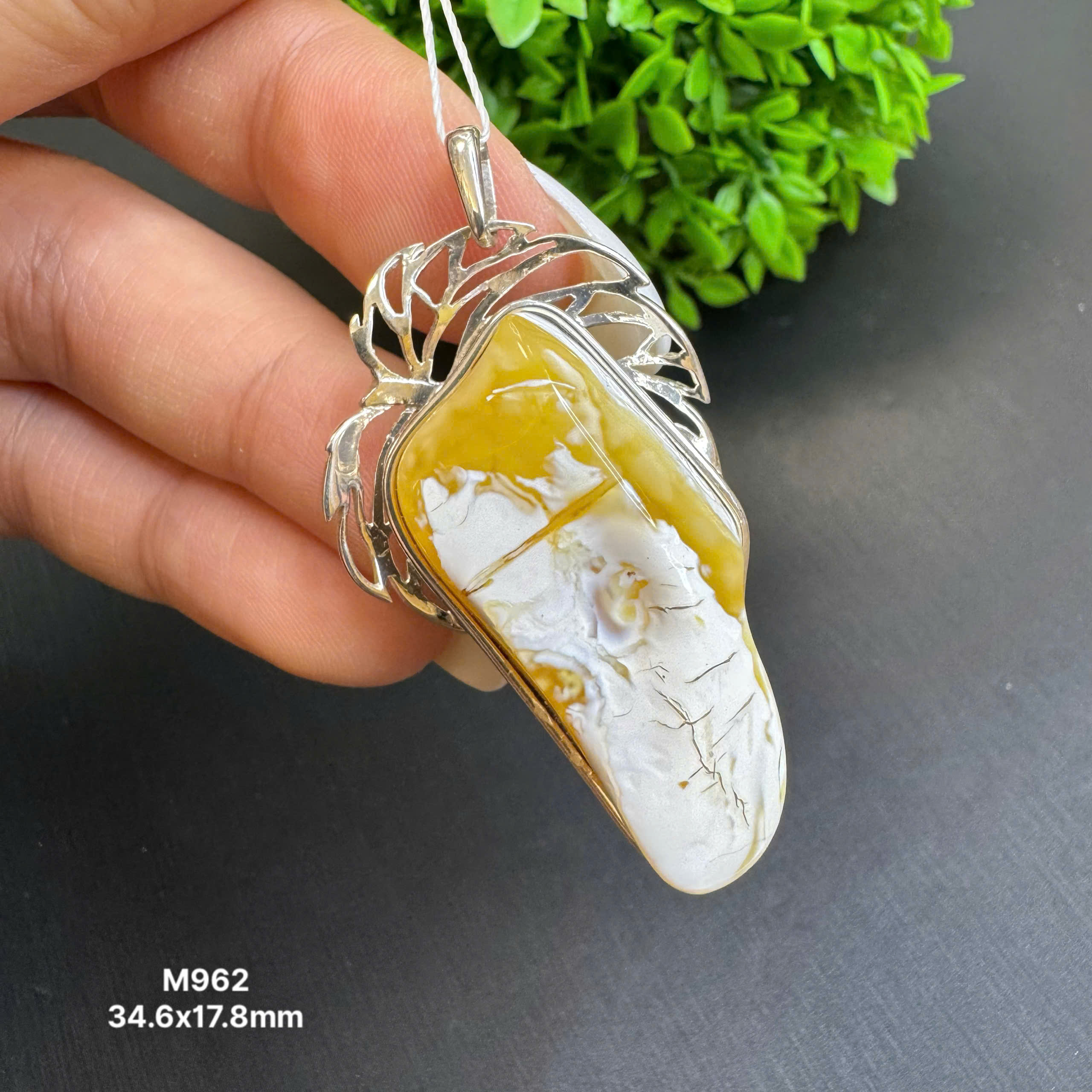 Mặt Mật Bạch Thiết Kế - M962