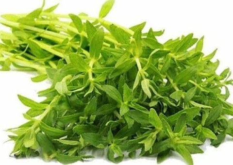Rau ngổ ( ngò ôm ) ( túi )