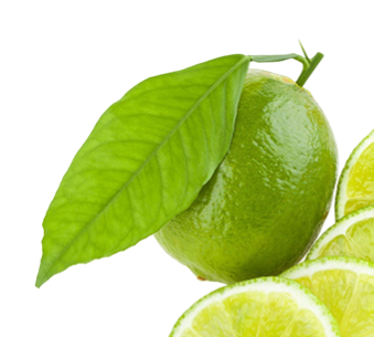 fresh-limes-copy111111