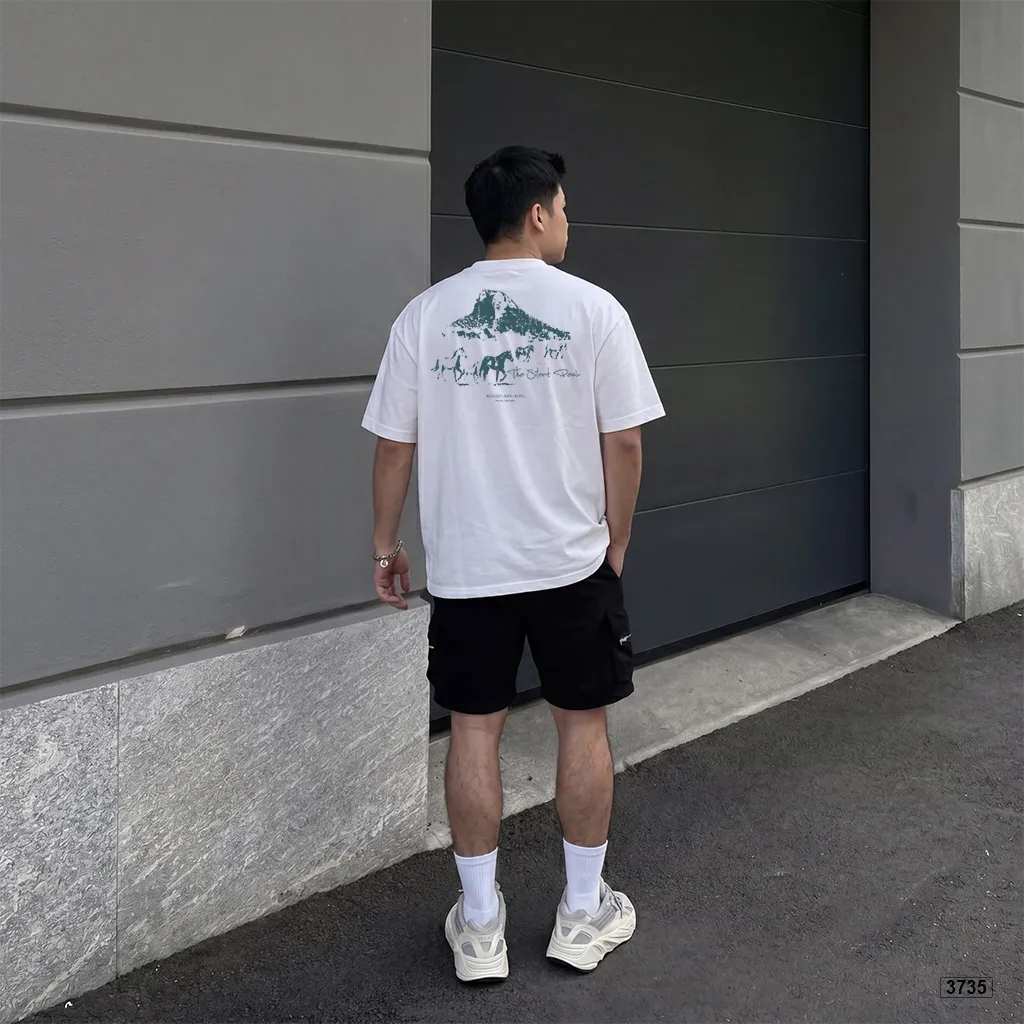 Áo thun nam oversize dày dặn đứng form streetwear style Polux 3735_thumbnail_5