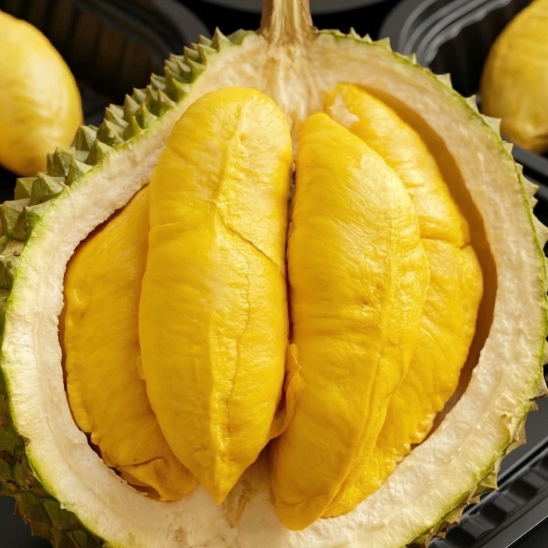 Trái - Sầu riêng Musang King - Khui sầu_thumbnail_4