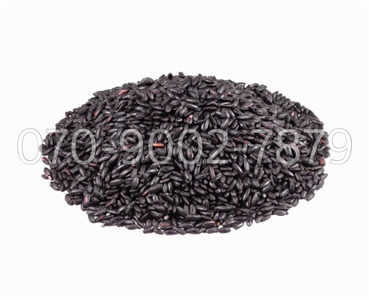Hạt nếp cẩm ( túi )