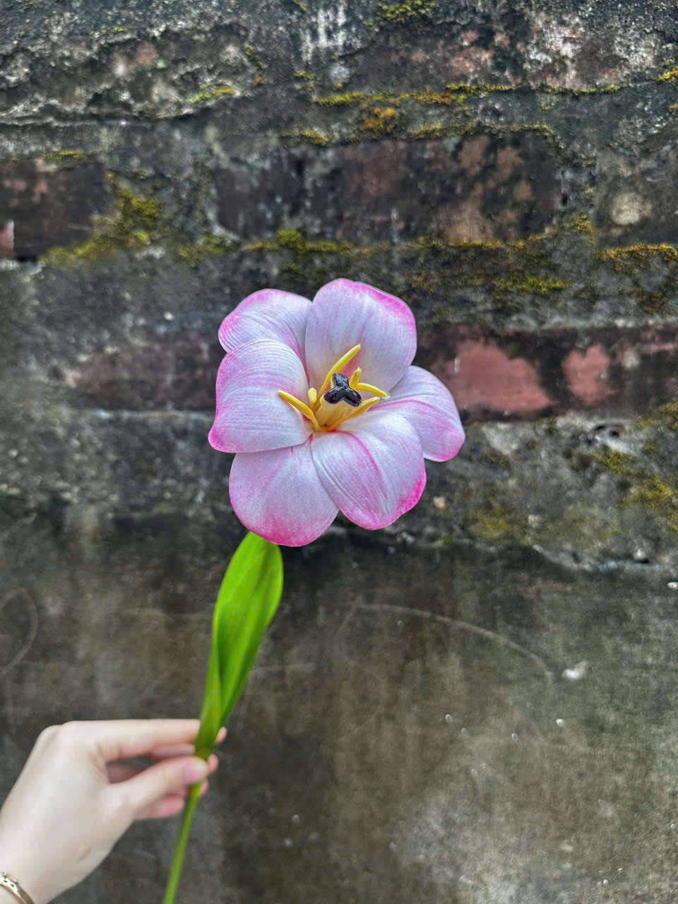 Hoa Tulip Nở Hoa Lụa Cao Cấp Trang Trí Không Gian Hiện Đại Bền Đẹp Không Cần Chăm Sóc_thumbnail_8