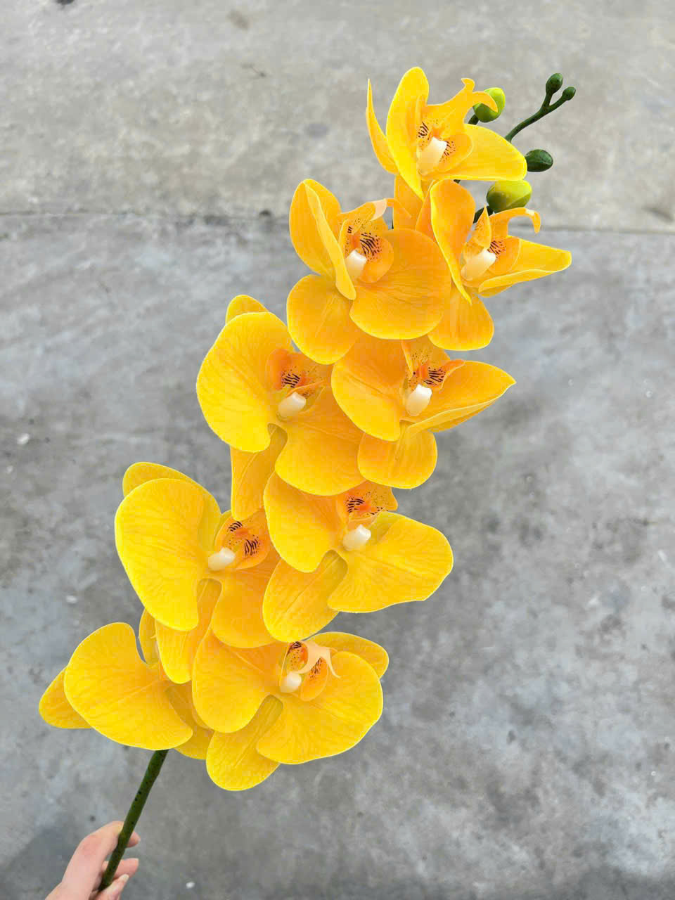 Lan Ướt Cao Su 9 Bông Trang Trí Đám Cưới Cao Cấp – Giả Như Thật, Bền Đẹp, Tiết Kiệm Chi Phí Decor Sự Kiện