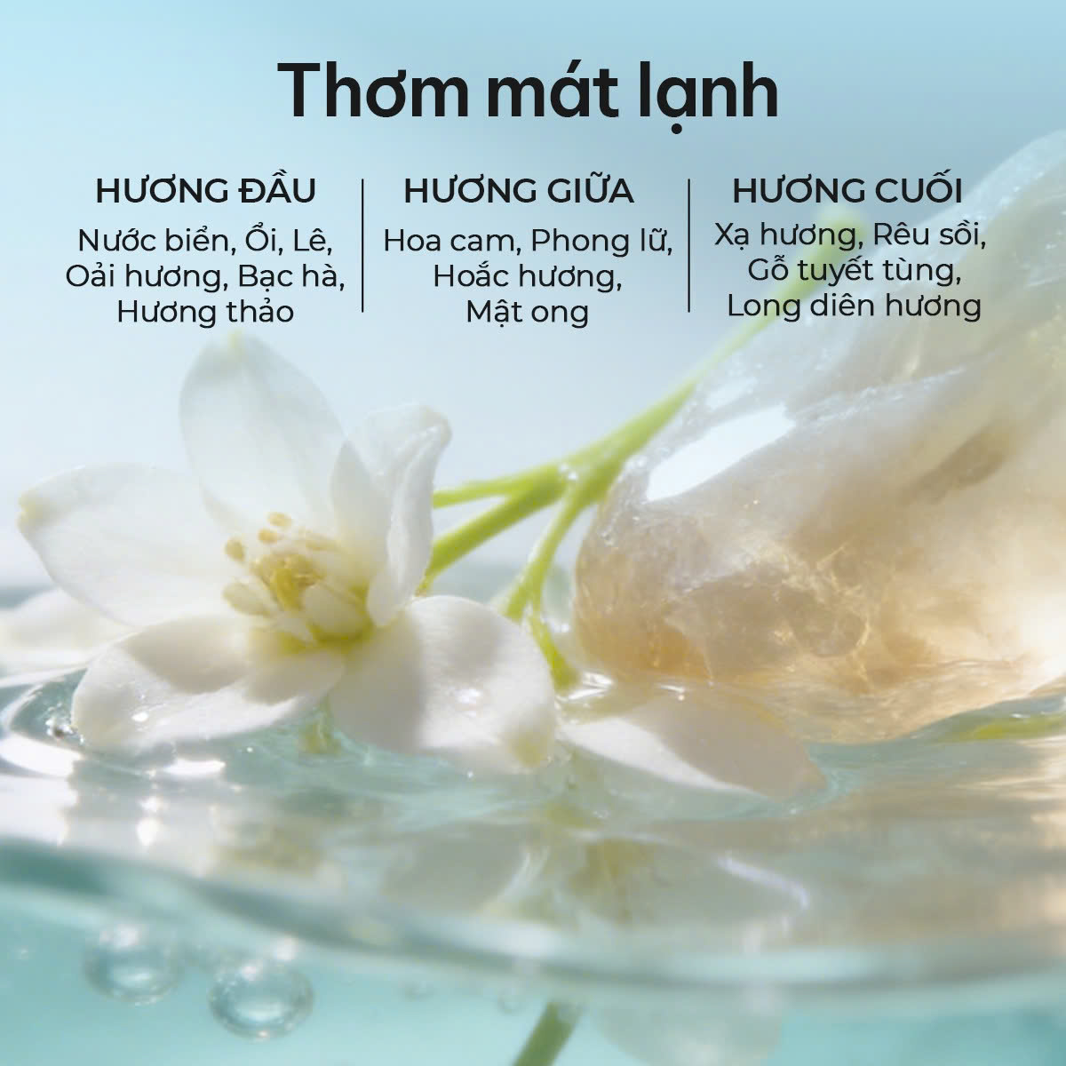 Dầu Gội Natufres_thumbnail_9