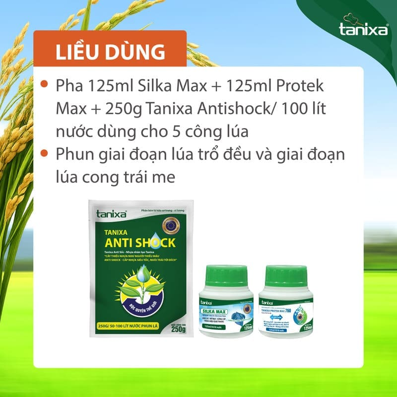 Bộ vô gạo Tanixa (KM)_thumbnail_2