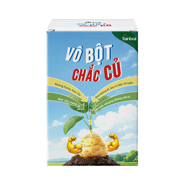 Bộ vô bột- chắc củ Tanixa