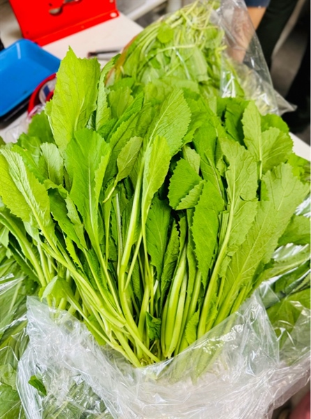 Rau cải canh 
