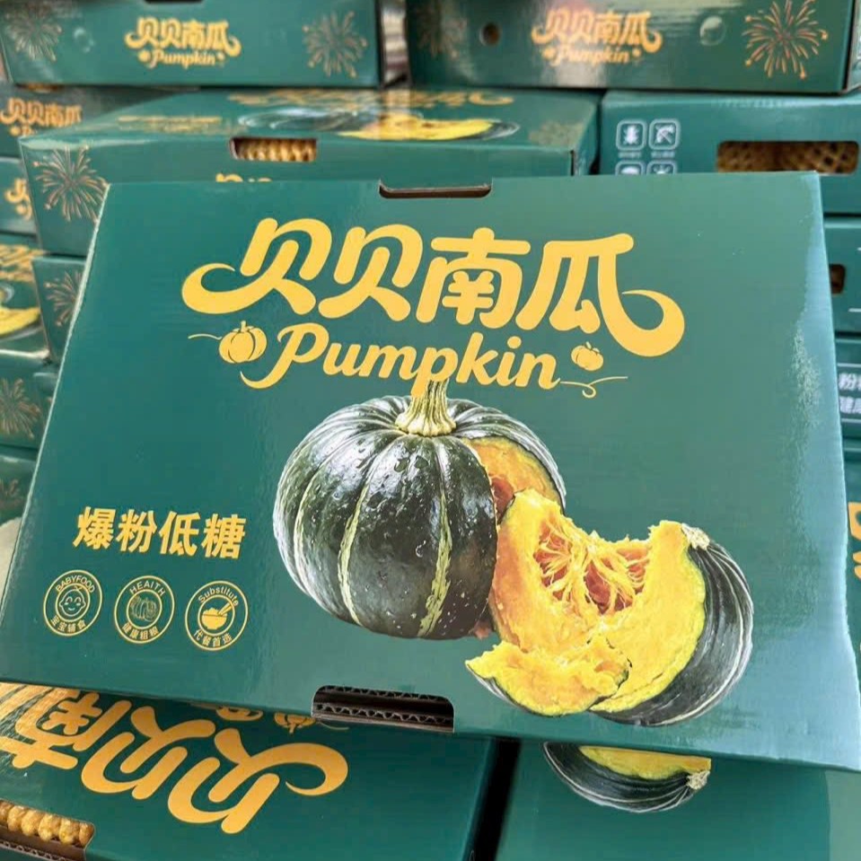 Bí Hạt Dẻ Nội Địa Trung_thumbnail_3