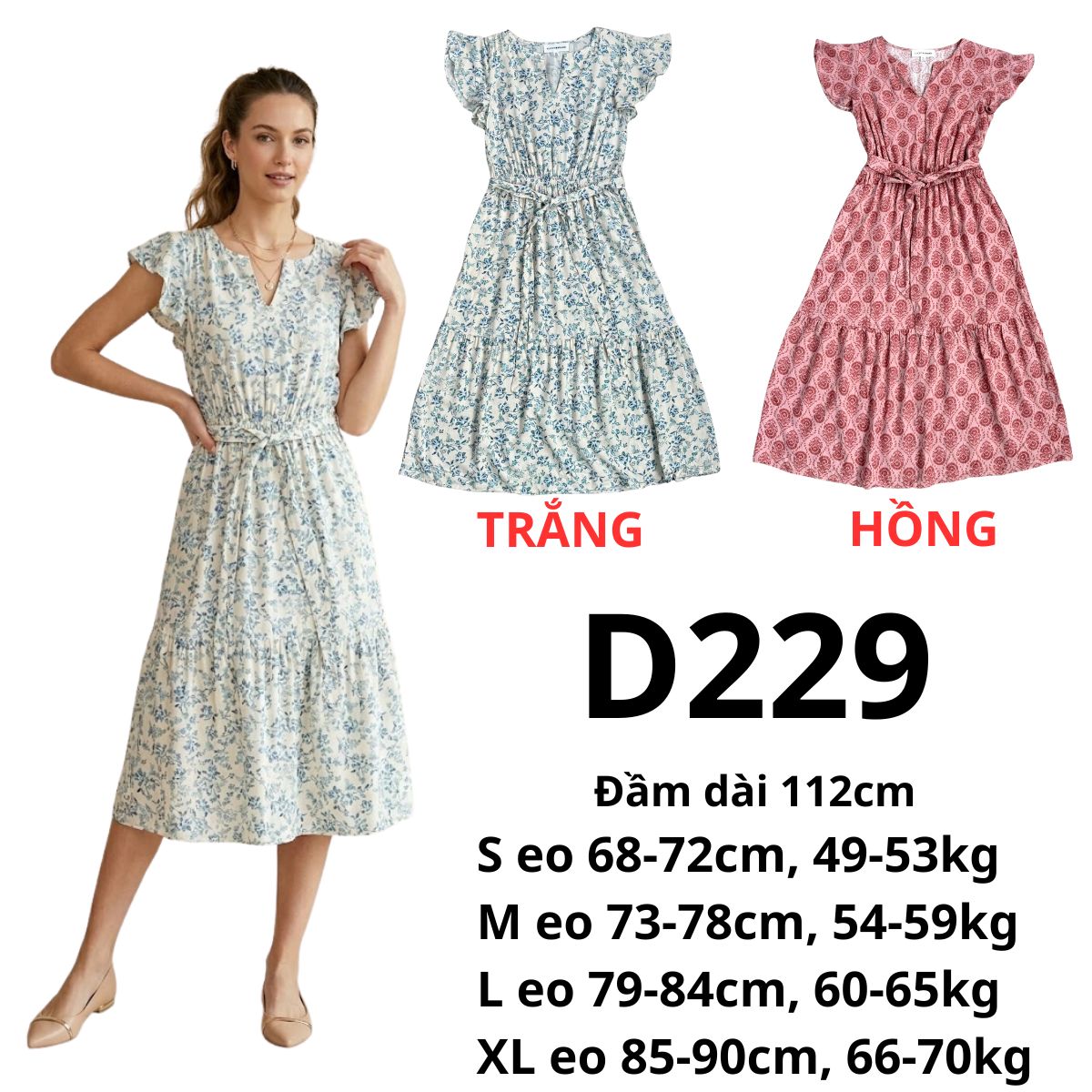 D229- ĐẦM