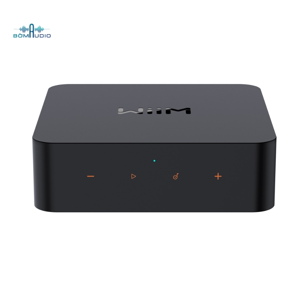Music Streaming WIIM PRO PLUS