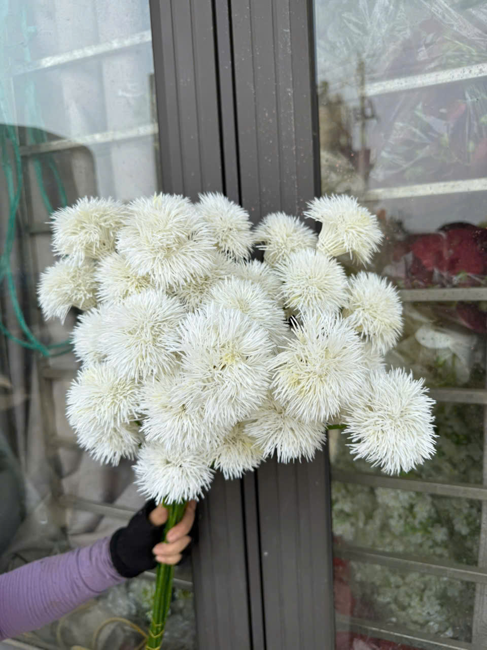 Hoa Thạch Trúc 4B Hoa Lụa Cao Cấp Trang Trí Không Gian Sang Trọng Bền Đẹp Lâu Dài_thumbnail_8