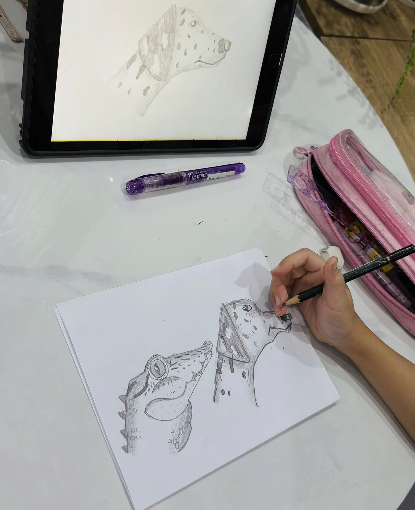 Tài khoản Simply Draw học vẽ_thumbnail_2
