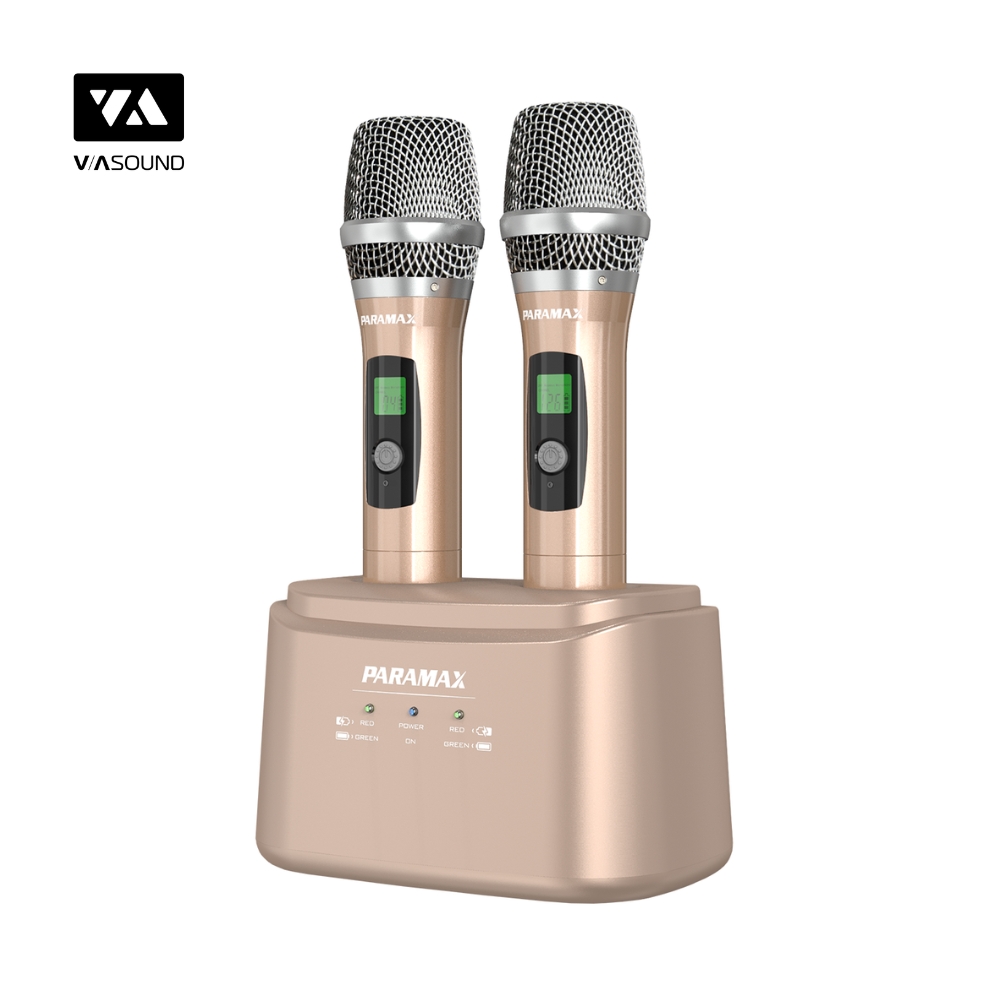 Micro Karaoke PARAMAX SM-2500 SMART_thumbnail_4