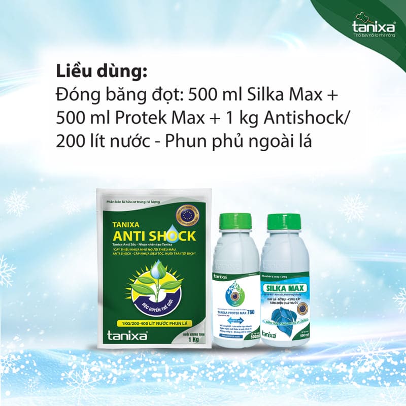 Bộ đóng băng đọt_thumbnail_3