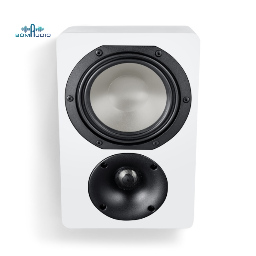 Loa Treo Tường CANTON AR 4_thumbnail_1