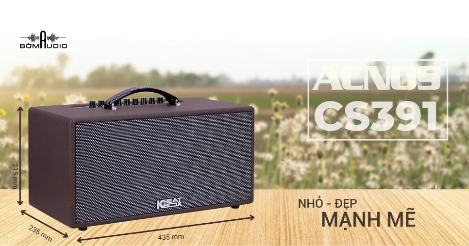 Đánh giá chi tiết loa karaoke di động Acnos CS391